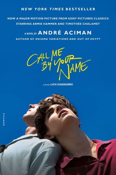 9781250169440_p0_v4_s600x595 Call Me by Your Name (Movie Tie-In) - Image 1