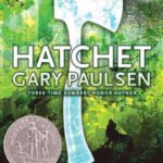 Hatchet (Brian's Saga Series #1)