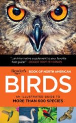 Legit support/encouragment card by Natalie Henry Charles - Image 8