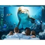 Vankyo Leisure3 480p Mini Projector - White - Image 9